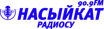 Логотип «Насыйкат»