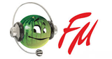 Логотип «Камышин FM»