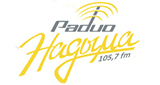 Логотип «Радио Надыма»
