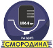 Логотип «СМоРОДИНА»