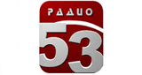 Логотип «Радио 53»