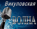 Раземщение рекламы Викуловская волна, Викулово