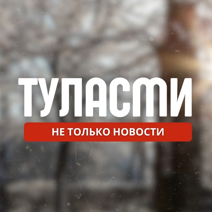 Логотип «ТУЛАСМИ»