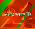 Логотип «Мамадыш ТВ»