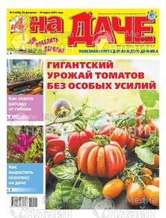 Фото «Аргументы и факты на Даче»
