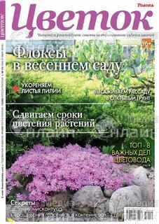 Фото &laquo;Цветок&raquo;