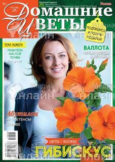 Фото &laquo;Домашние цветы&raquo;